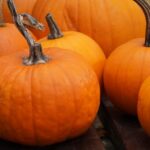 Zagadka rozwiązana – gra terenowa